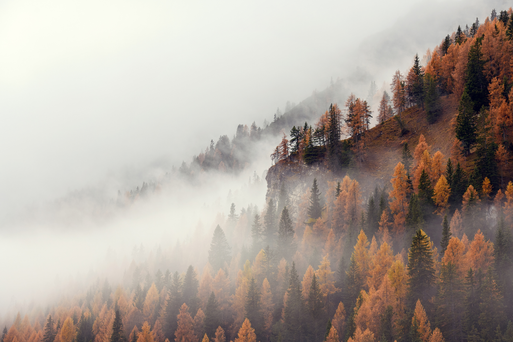 Against autumn