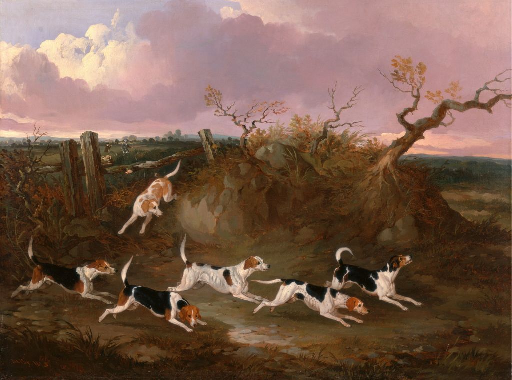 Release the hounds