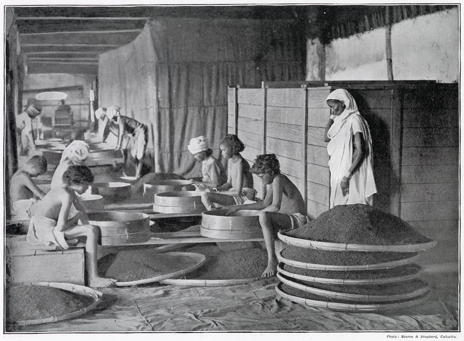 How Britain made Assam