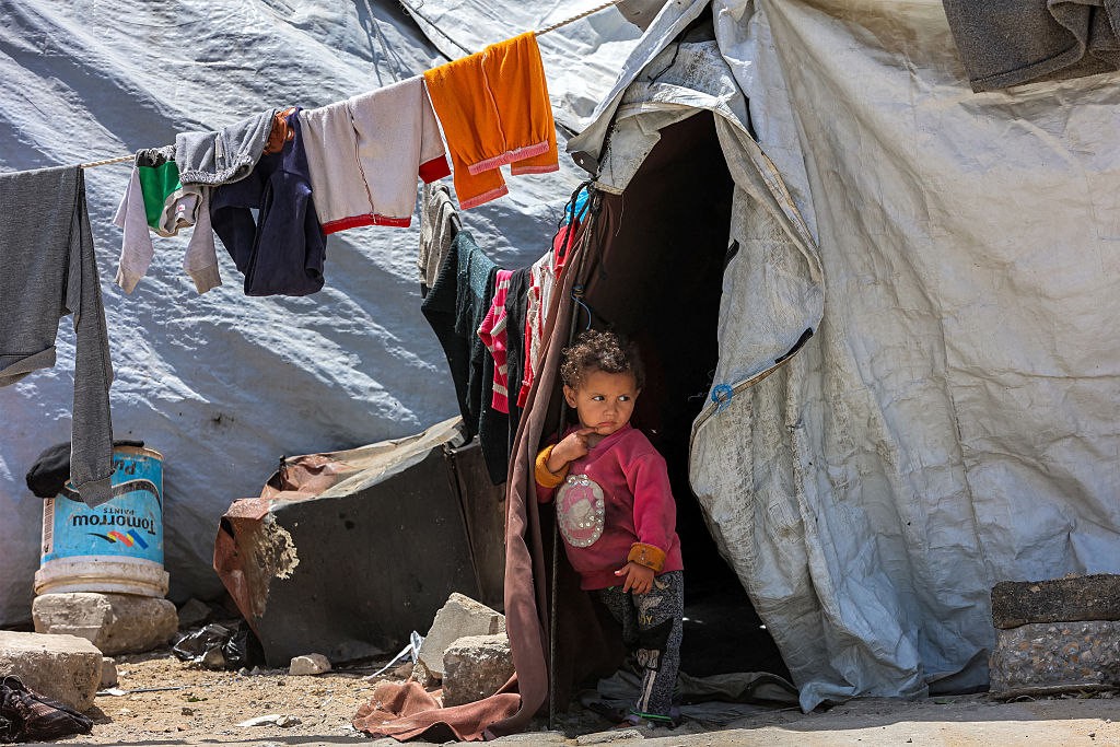 How much has life expectancy fallen in Gaza?