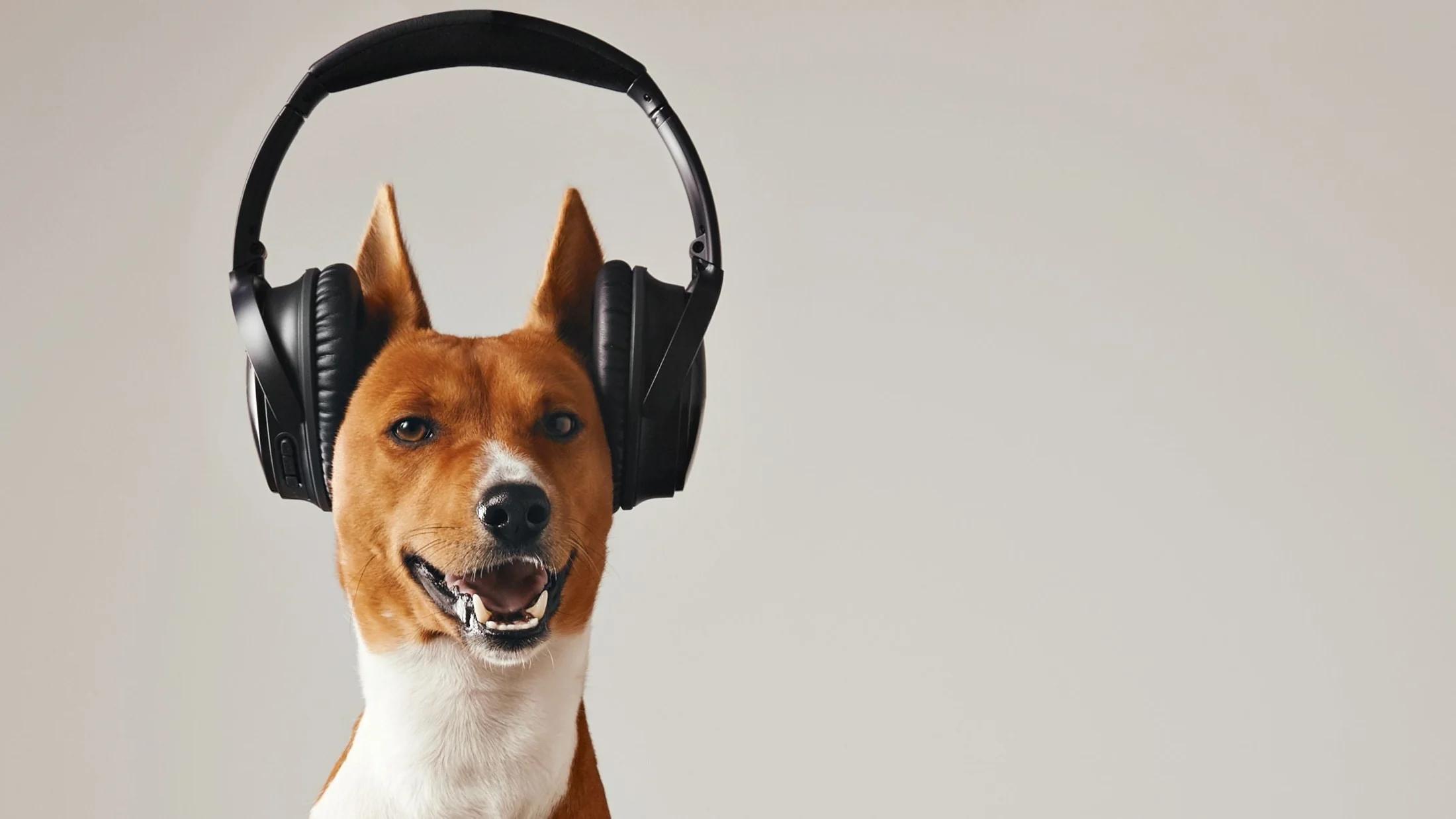 Podcasters: do as I say, not as I do