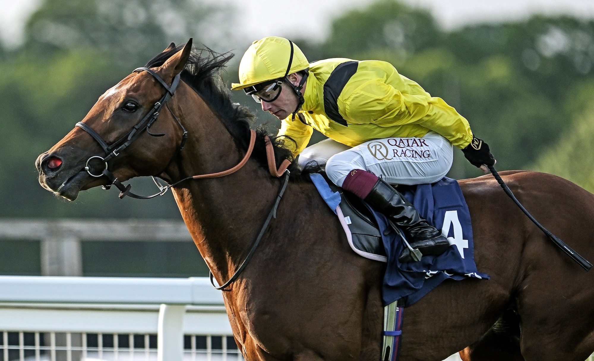 Racing&rsquo;s omert&agrave;