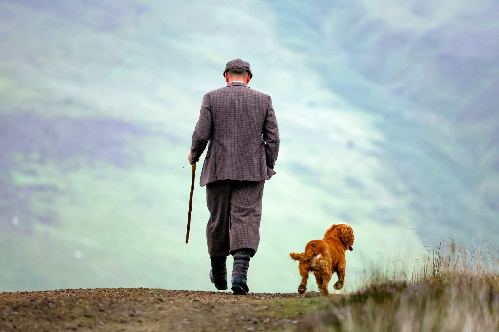 In praise of grouse shooting