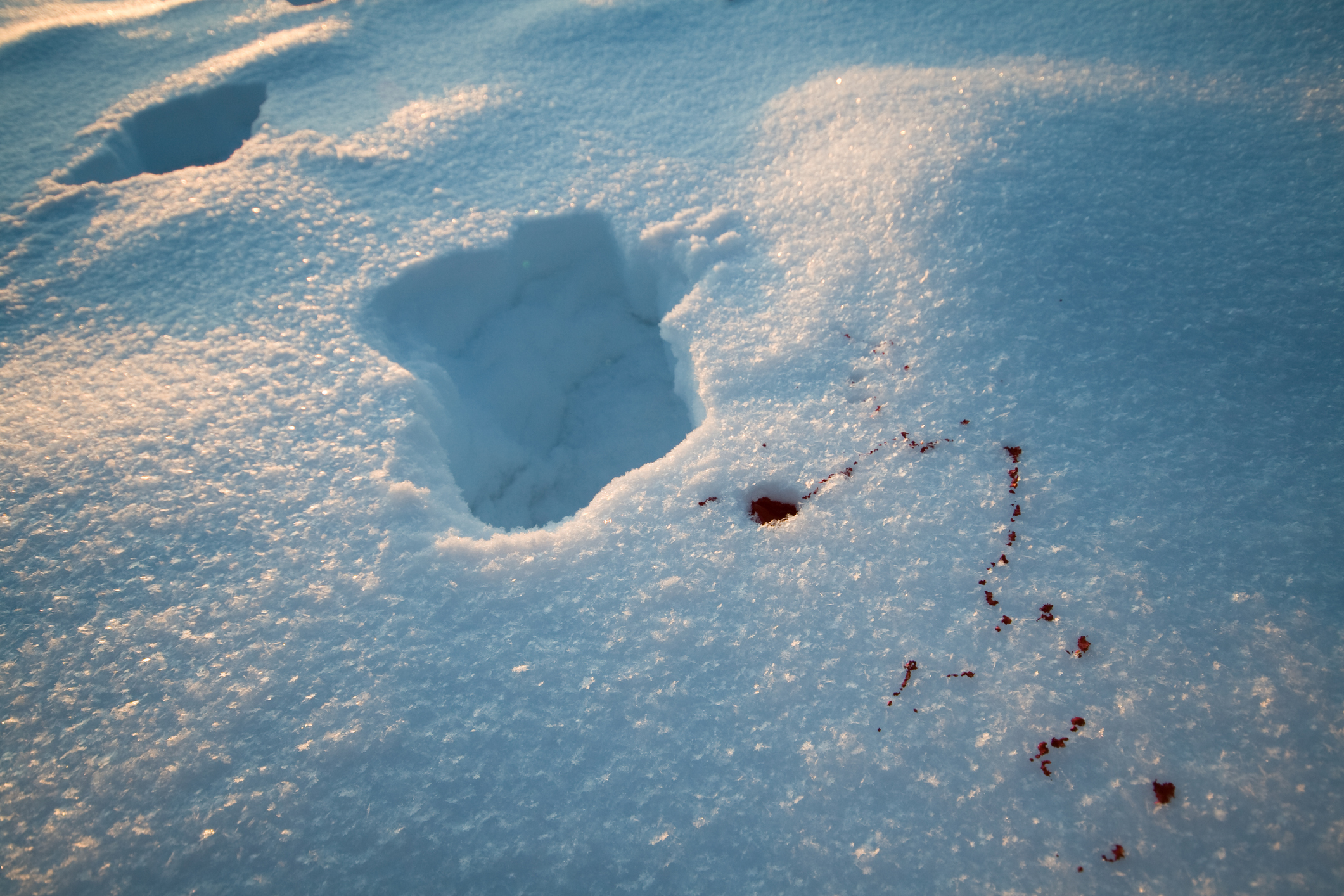 Murders for November