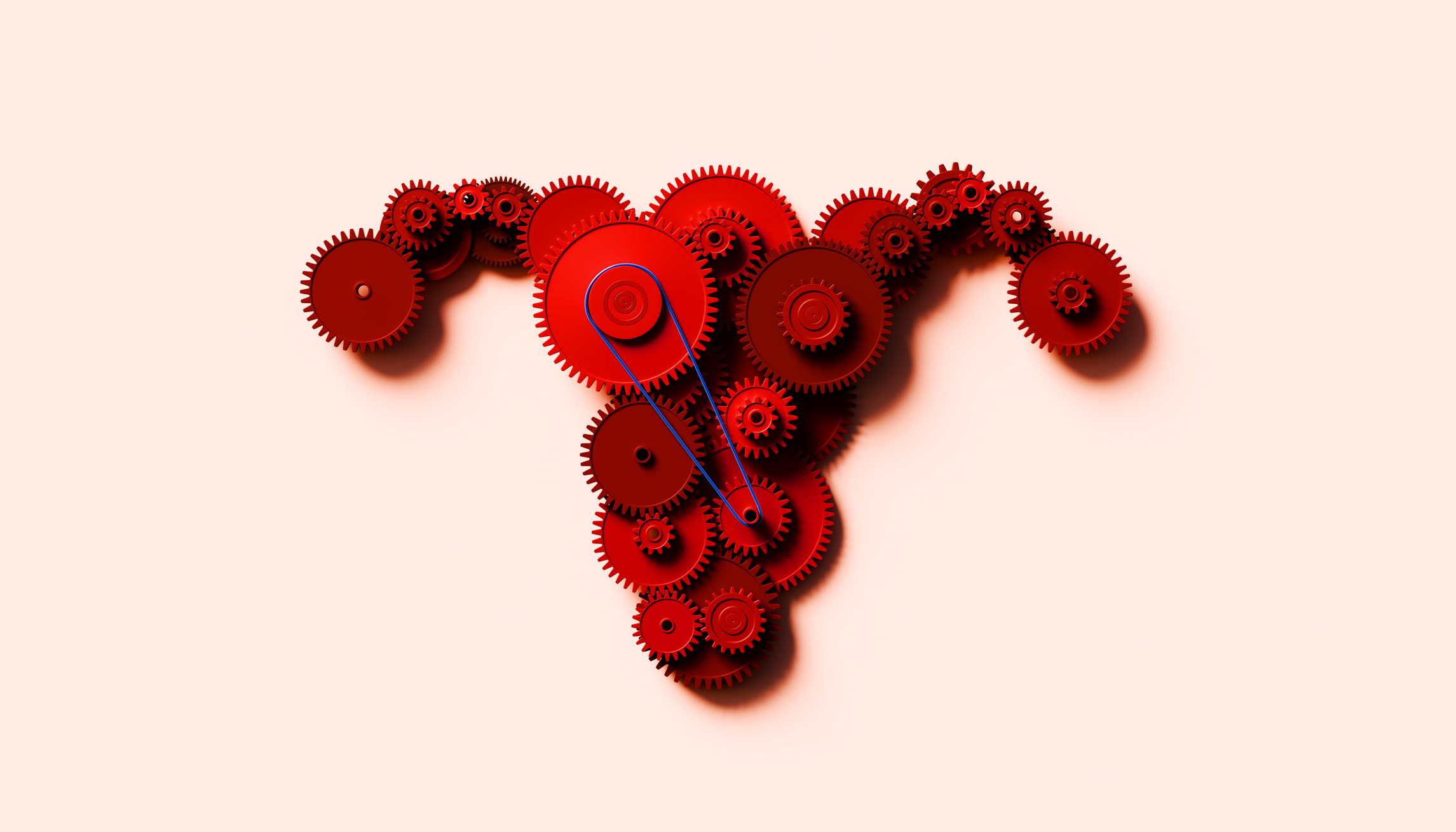 The problem with womb transplantation
