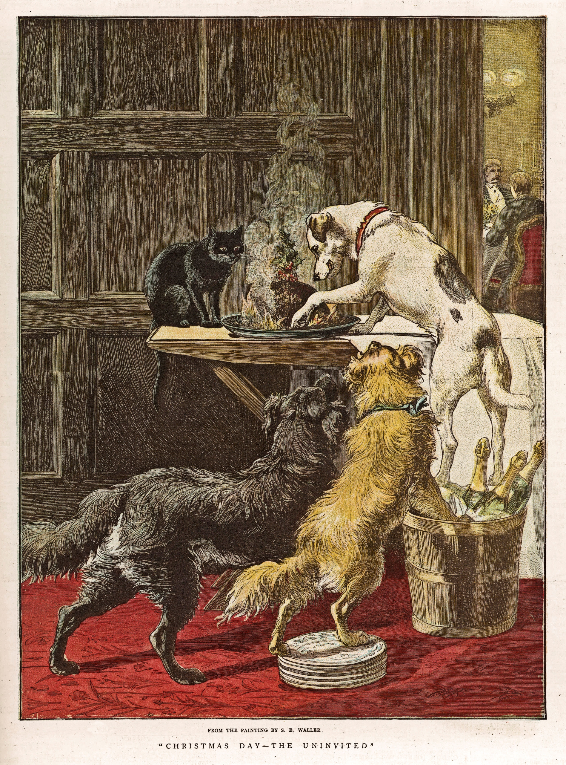 It&rsquo;s high time we banned dogs