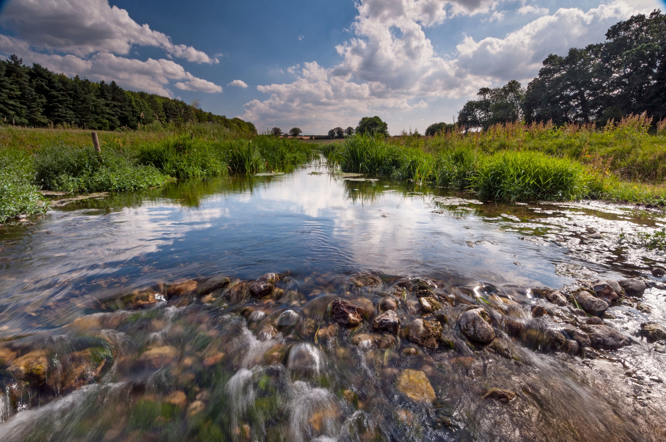 Feargal Sharkey, patron saint of rivers | Patrick Galbraith | The ...